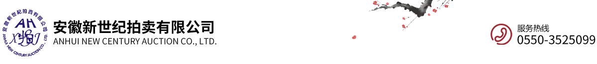 安徽新世纪拍卖有限公司